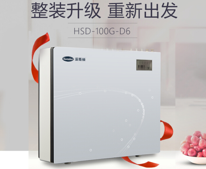 家用净水机HSD-100G-D6