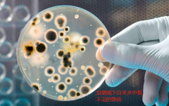 自来水要不要装净水器 